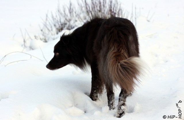 Bild 0056 - Novembergrau