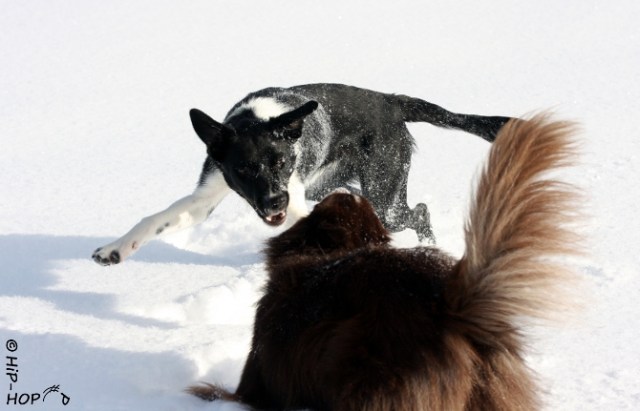 Bild 0059 - Winterwonderland