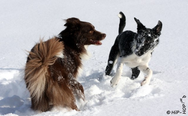 Bild 0060 - Winterwonderland