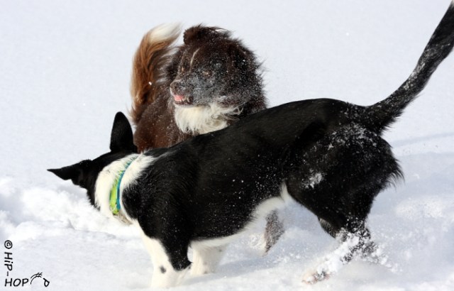 Bild 0062 - Winterwonderland