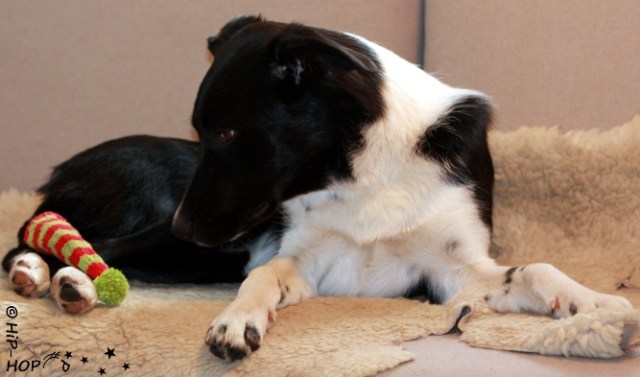 Bild 0066 - Frohe Weihnachten