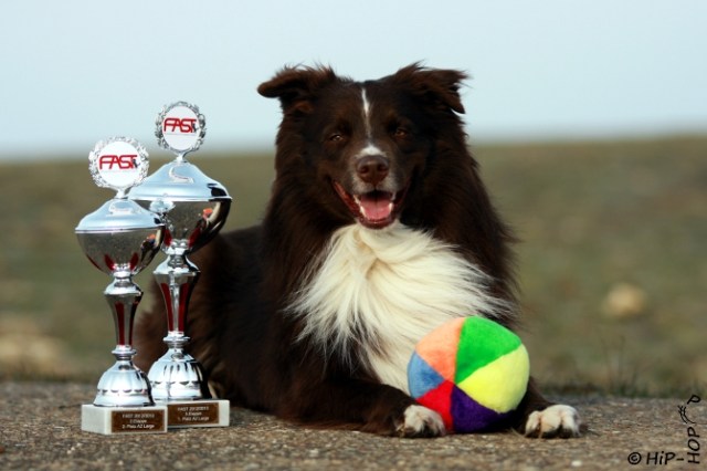 Bild 0099 - FAST-36436466