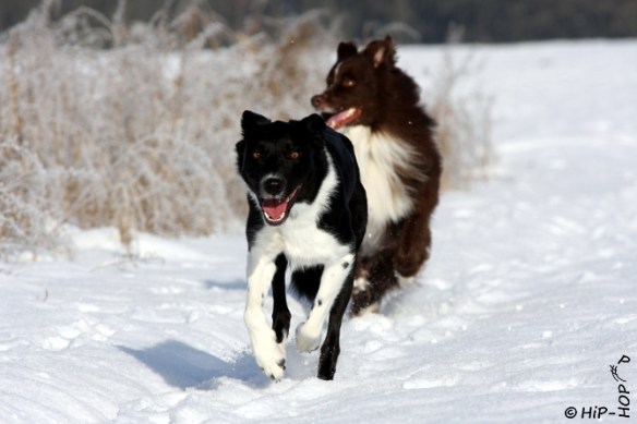 tmp_Bild 0158-1762804012