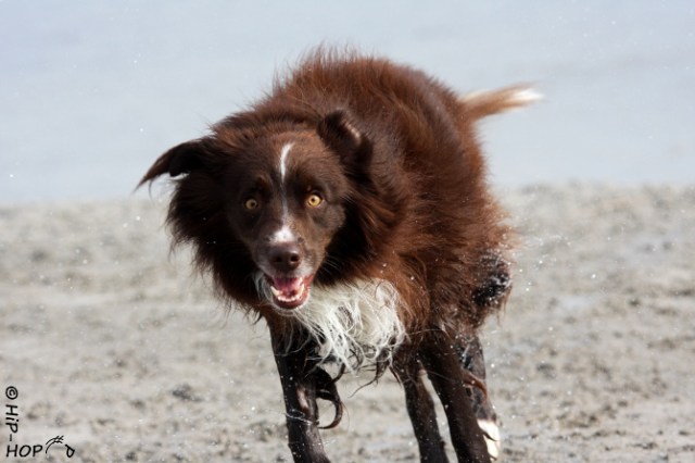 tmp_Bild 0164-1859471566