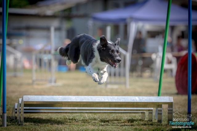 tmp_5543-Bild 02521112452797